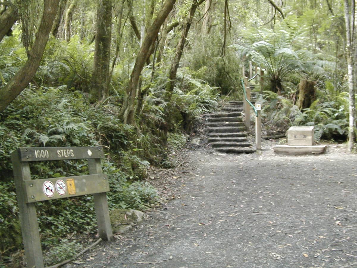 Der Eingang zum 1000 Steps Kokoda Track Memorial Walk in den Dandenong Ranges zeigt ein Schild, Steinstufen und einen üppigen, mit Farnen bewachsenen Wald.