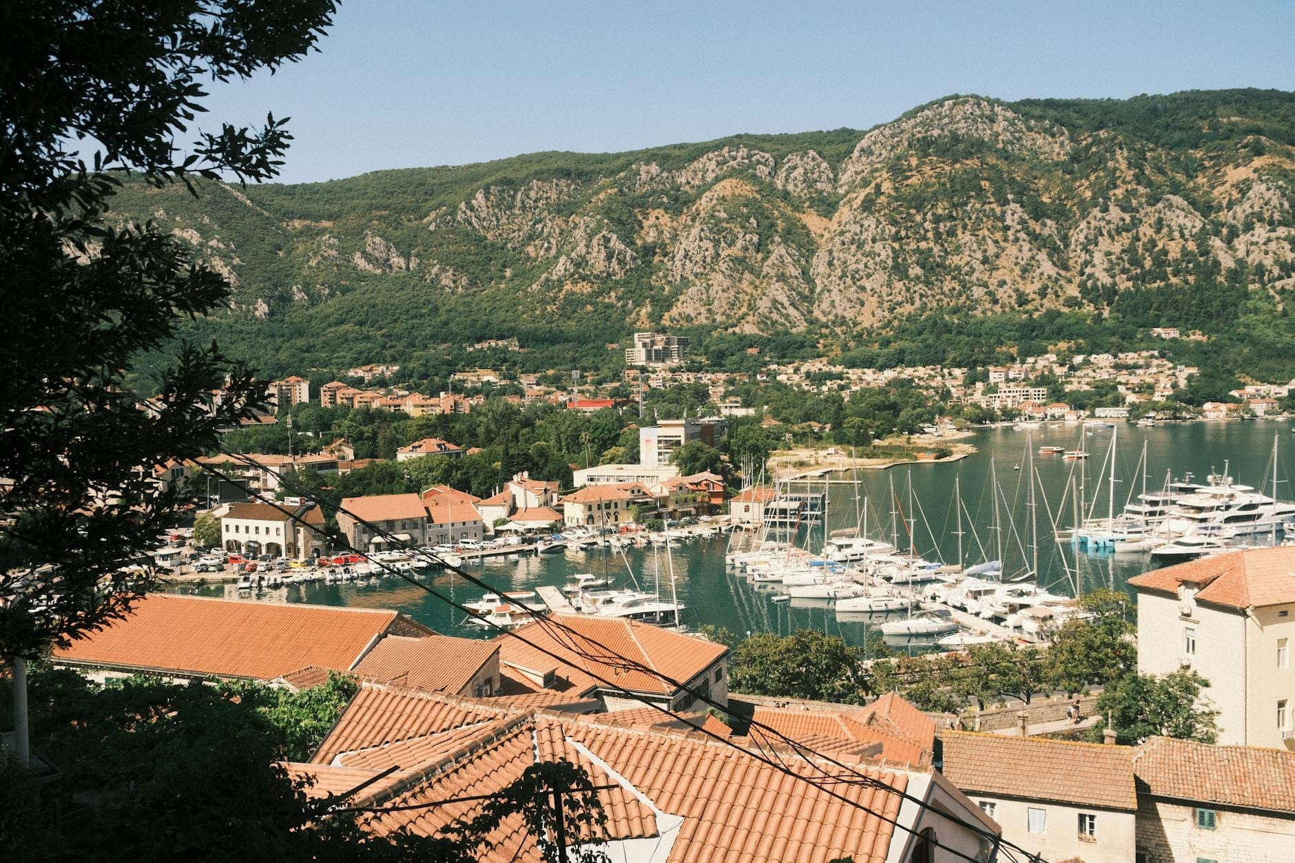 Vista panorâmica da Baía de Kotor com edifícios de telhados vermelhos, uma marina cheia de barcos e montanhas íngremes ao fundo sob céus limpos.