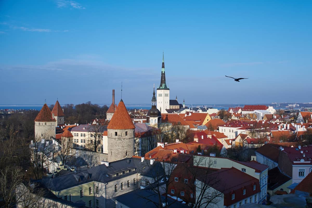 Panoramablick auf die Tallinner Altstadt mit roten Dächern, Türmen, Stadtmauer und dem Turm der Olaikirche unter blauem Himmel.