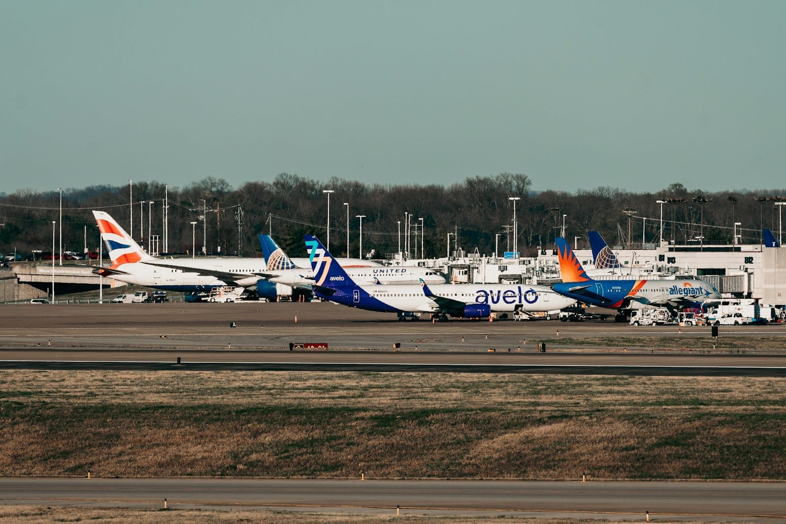 Varios aviones comerciales estacionados en las puertas de una terminal de aeropuerto moderna con pasarelas de embarque y cielos despejados al fondo.