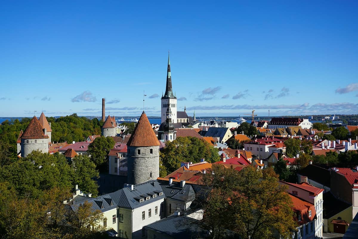 Panoramablick auf Tallinns mittelalterliche Altstadt bei Tag: rote Dächer, Wehrtürme, der Turm der Olaikirche und blauer Himmel, aufgenommen von einem beliebten Aussichtspunkt.