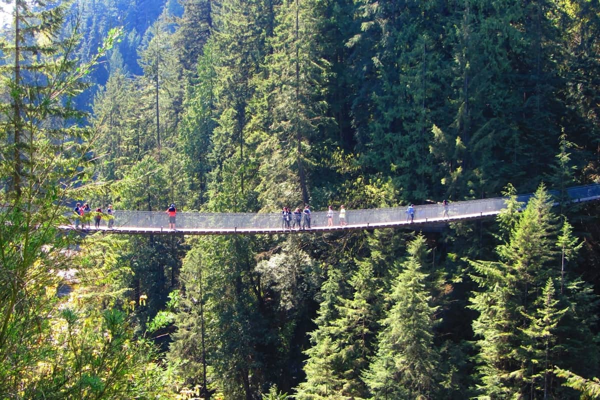 วิวกว้างของ Capilano Suspension Bridge ที่พาดข้ามหุบเขาที่มีป่าไม้หนาแน่นโดยมีนักท่องเที่ยวเดินข้ามสะพานล้อมรอบด้วยต้นไม้สีเขียวชอุ่ม