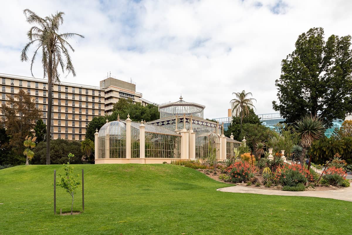Das ikonische viktorianische Palmenhaus des Adelaide Botanischen Gartens, umgeben von Rasenflächen, Beeten und Palmen.