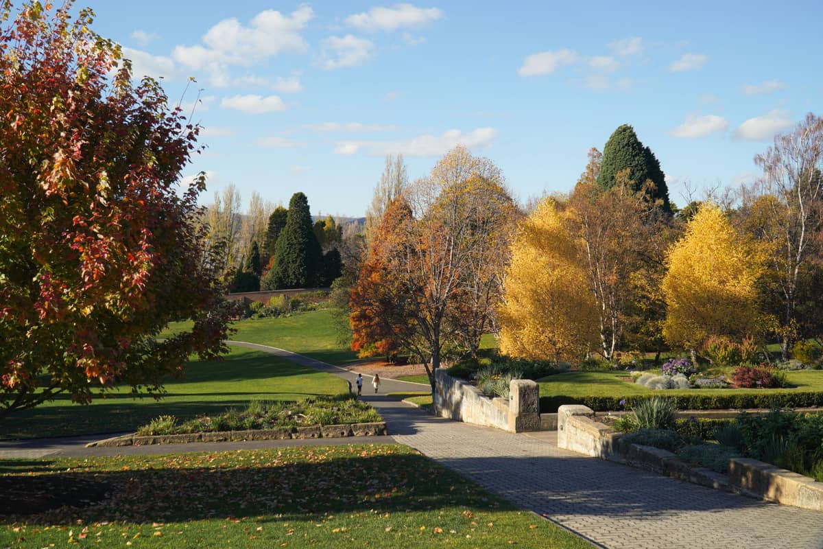 Breiter Parkweg, der sich durch Rasenflächen und Herbstbäume schlängelt, mit zwei Personen in der Ferne unter einem blauen Himmel.