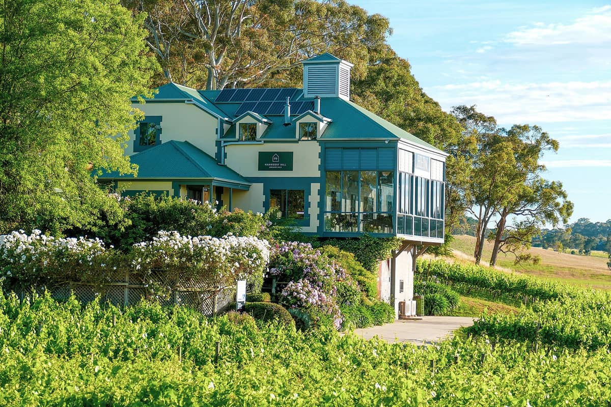 ไร่องุ่นเขียวขจีล้อมรอบ Hansdorf Hill Winery ใต้ฟ้าใสในเขต Adelaide Hills พร้อมต้นยูกาลิปตัส