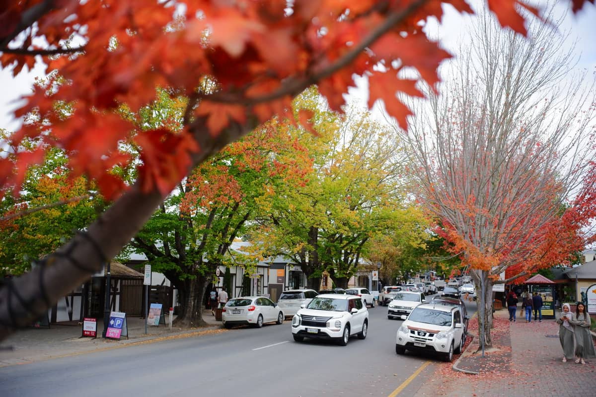 Vista della strada di Hahndorf con auto parcheggiate e persone che camminano, fiancheggiata da alberi autunnali con foglie rosso brillante e verdi.