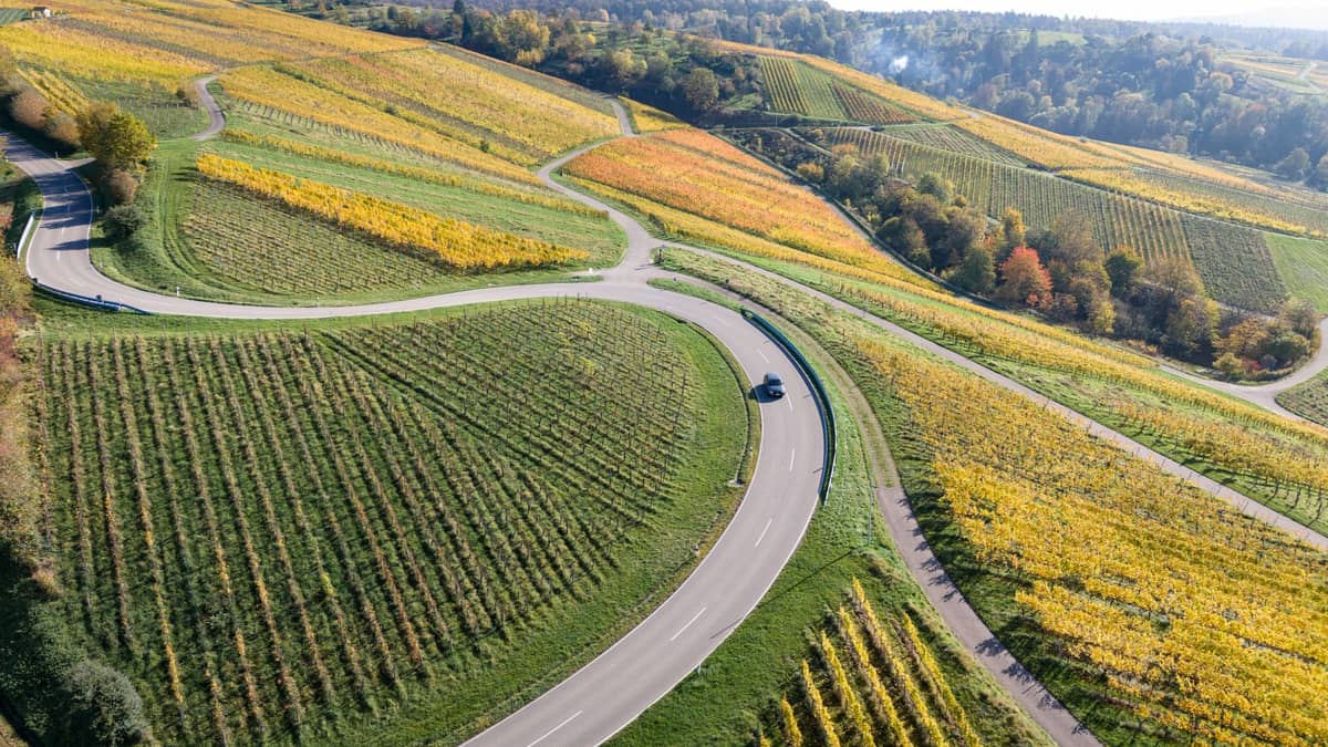 Landschaftsansicht einer kurvenreichen asphaltierten Straße, die sich durch grüne und gelbe Weinberghügel schlängelt, mit einem einzelnen fahrenden Auto.