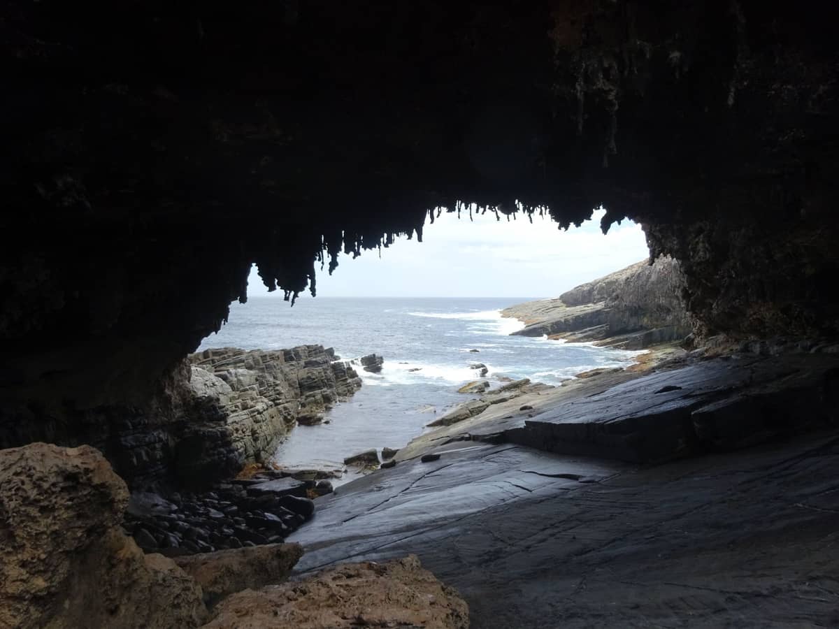 Blick von innen durch Admirals Arch auf der Känguru-Insel: Der Felsbogen rahmt Küste und Ozean ein, hängende Stalaktiten sind gut zu erkennen.