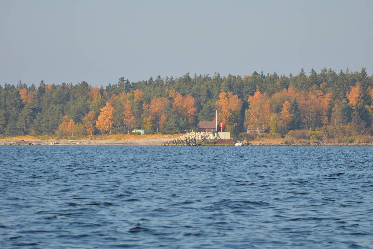 Blick auf die Küste der Insel Aegna mit dichtem Wald und einem kleinen Anleger, vom Wasser aus bei klarem Herbsthimmel aufgenommen.