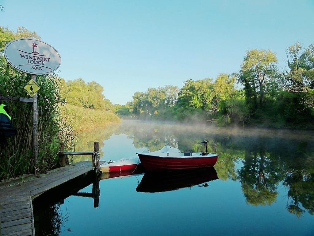 Molo in legno e piccola barca a remi rossa su un fiume tranquillo circondato da lussureggianti alberi verdi ad Ağva, con un cartello del Wineport Lodge.