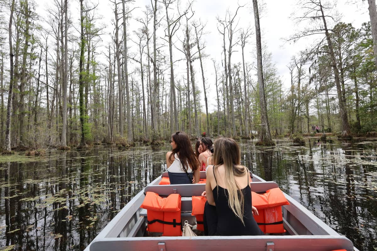 People riding in an airboat through a cypress swamp lined with tall trees and lily pads near Orlando, Florida.
