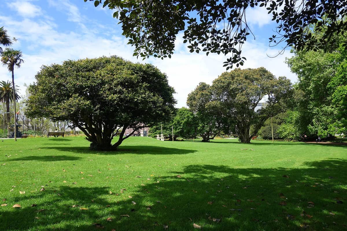 Weitläufiger Blick auf den Albert Park in Auckland mit grünen Rasenflächen, alten Bäumen und blauem Himmel. Zwischen den formal gestalteten Gartenanlagen sind Wege und Parkbänke zu sehen.