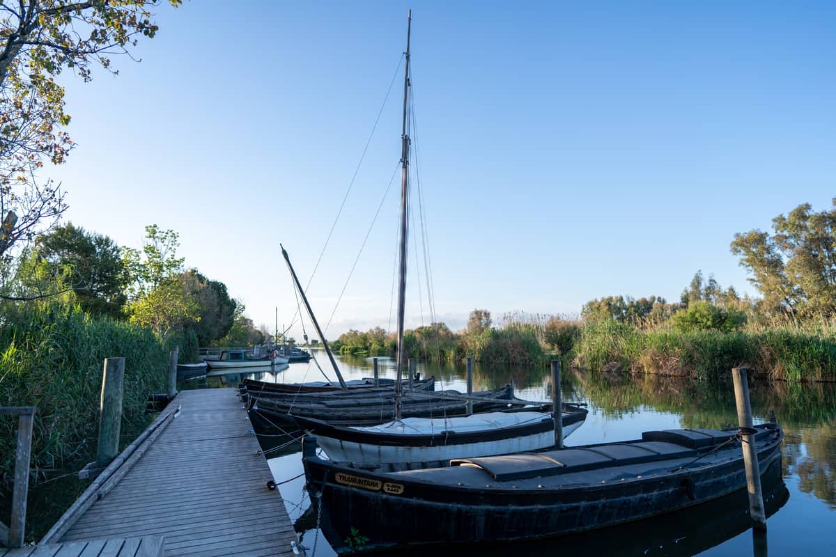 Traditionelle Holzboote der Albufera an einem Steg vertäut, mit üppigem Feuchtgebiet-Schilf und ruhigem Wasser unter einem klaren blauen Himmel.