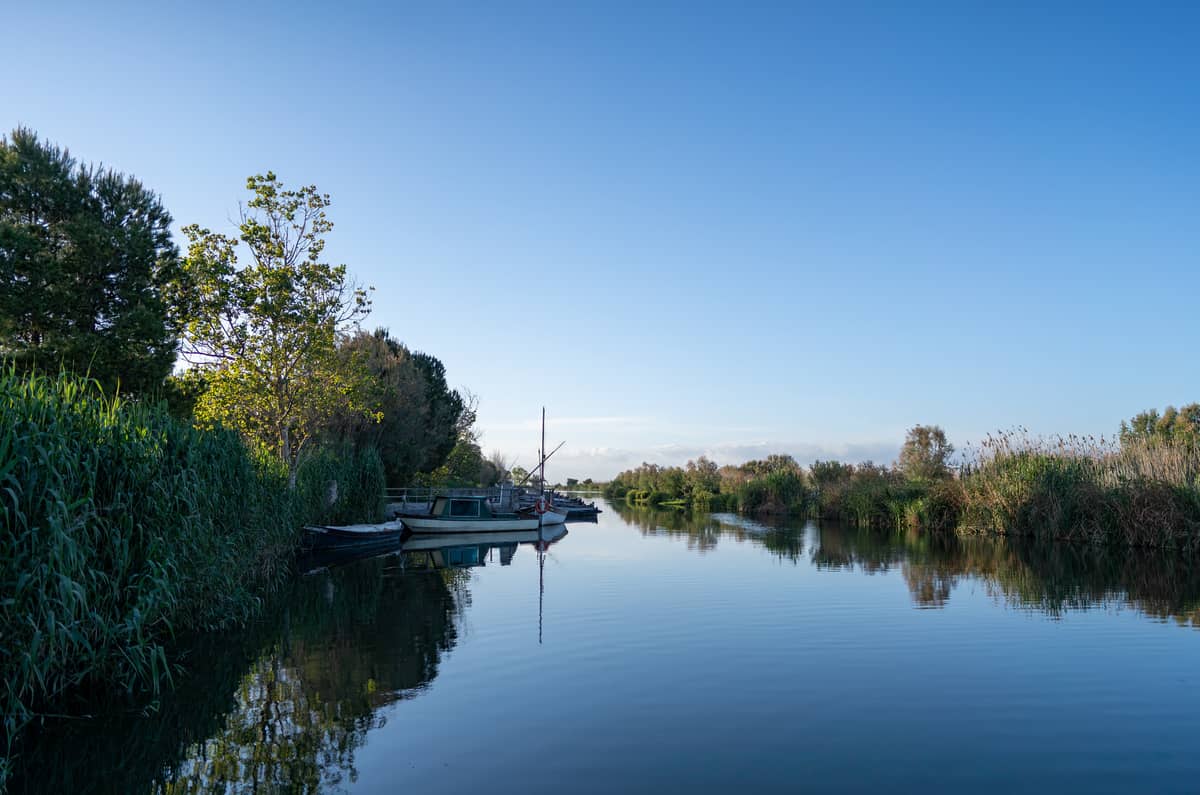 Un canale tranquillo con vegetazione lussureggiante e barche tradizionali sull'acqua nel Parco Naturale dell'Albufera, sotto un cielo azzurro limpido vicino a Valencia.