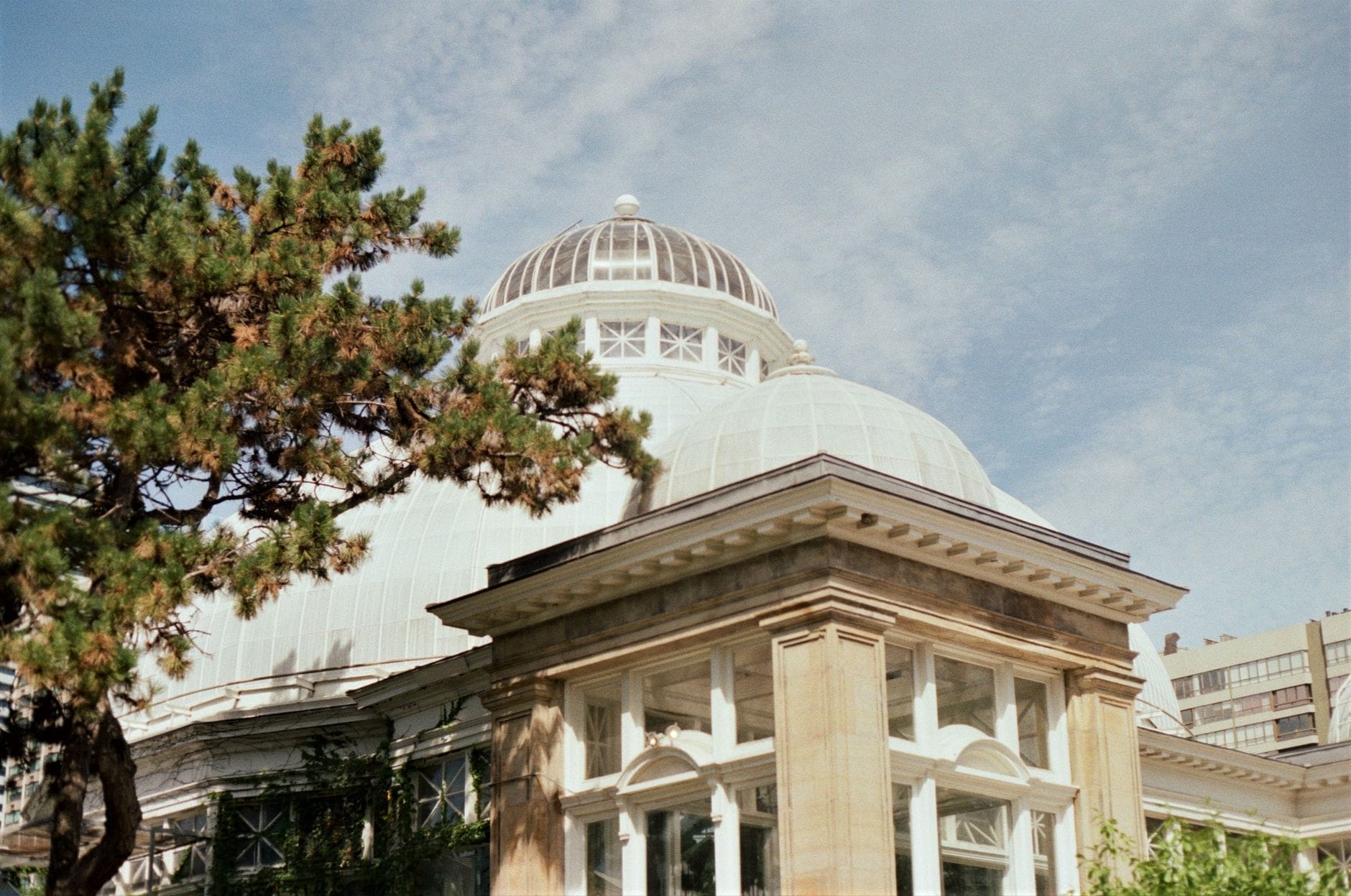 ด้านนอกของ Allan Gardens Conservatory โดดเด่นด้วยโดมกระจกเก่าแก่และสถาปัตยกรรมยุคเอ็ดเวิร์ดในเงาร่มไม้ ท้องฟ้าปลอดโปร่ง ใจกลางเมืองโตรอนโต