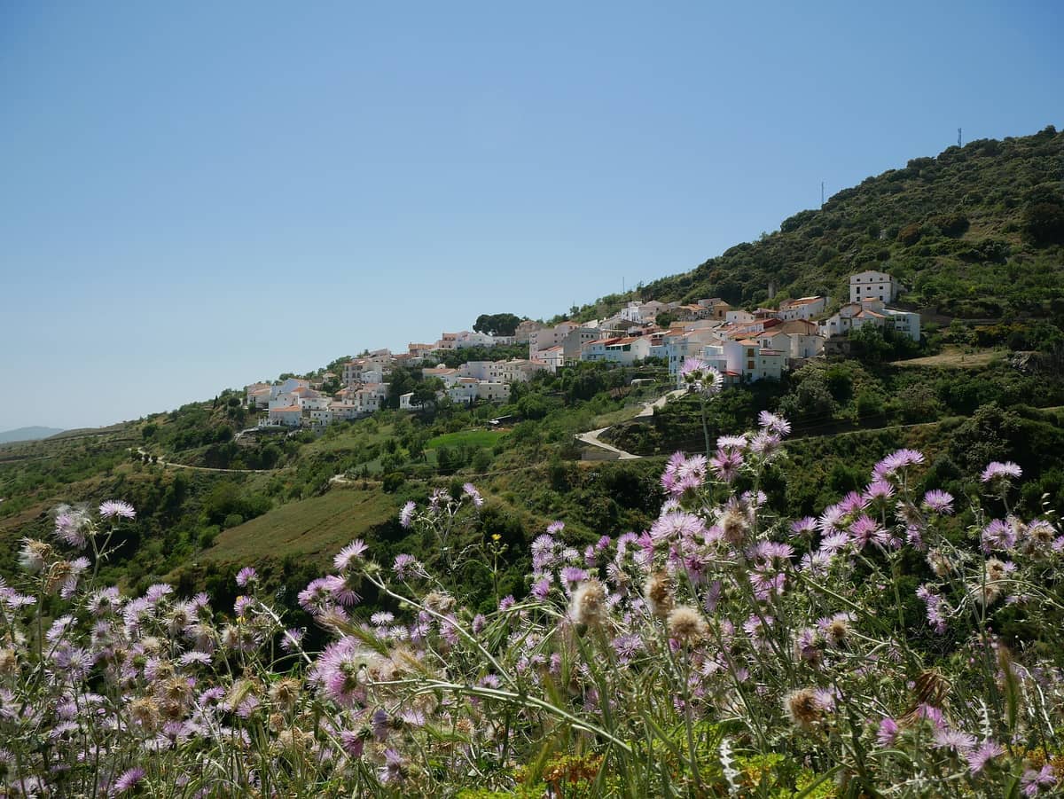 บ้านฉาบปูนสีขาวของหมู่บ้านแห่งหนึ่งใน Las Alpujarras กระจายอยู่บนเนินเขาสีเขียว พร้อมดอกไม้ป่าสีม่วงที่บานสะพรั่งใต้ท้องฟ้าสีฟ้าใส