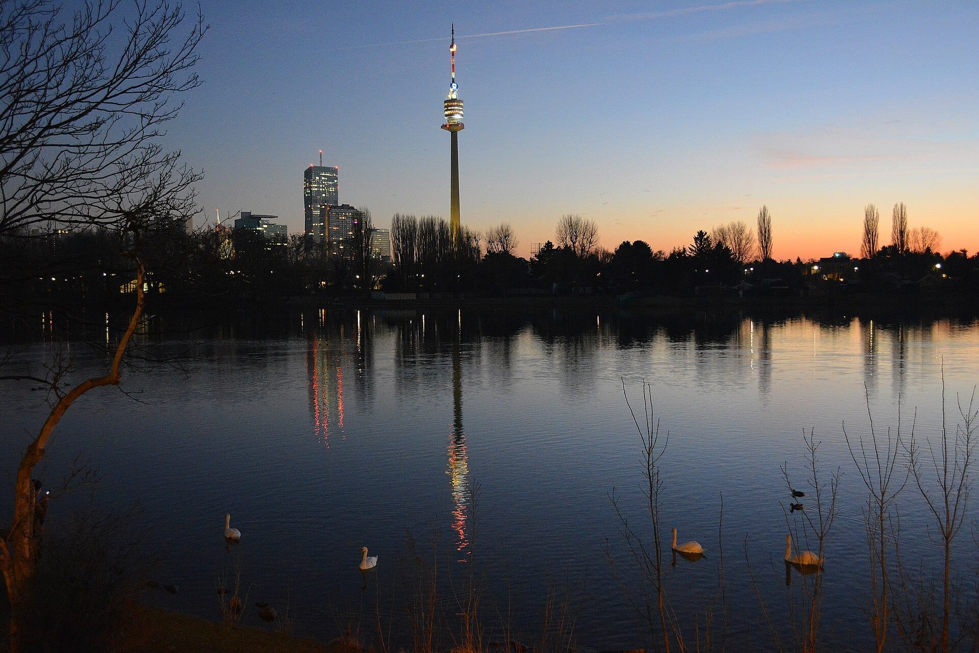 Abendlicher Blick auf die Alte Donau mit Schwänen auf dem Wasser und der Wiener Skyline, einschließlich des Donauturms, im See gespiegelt.
