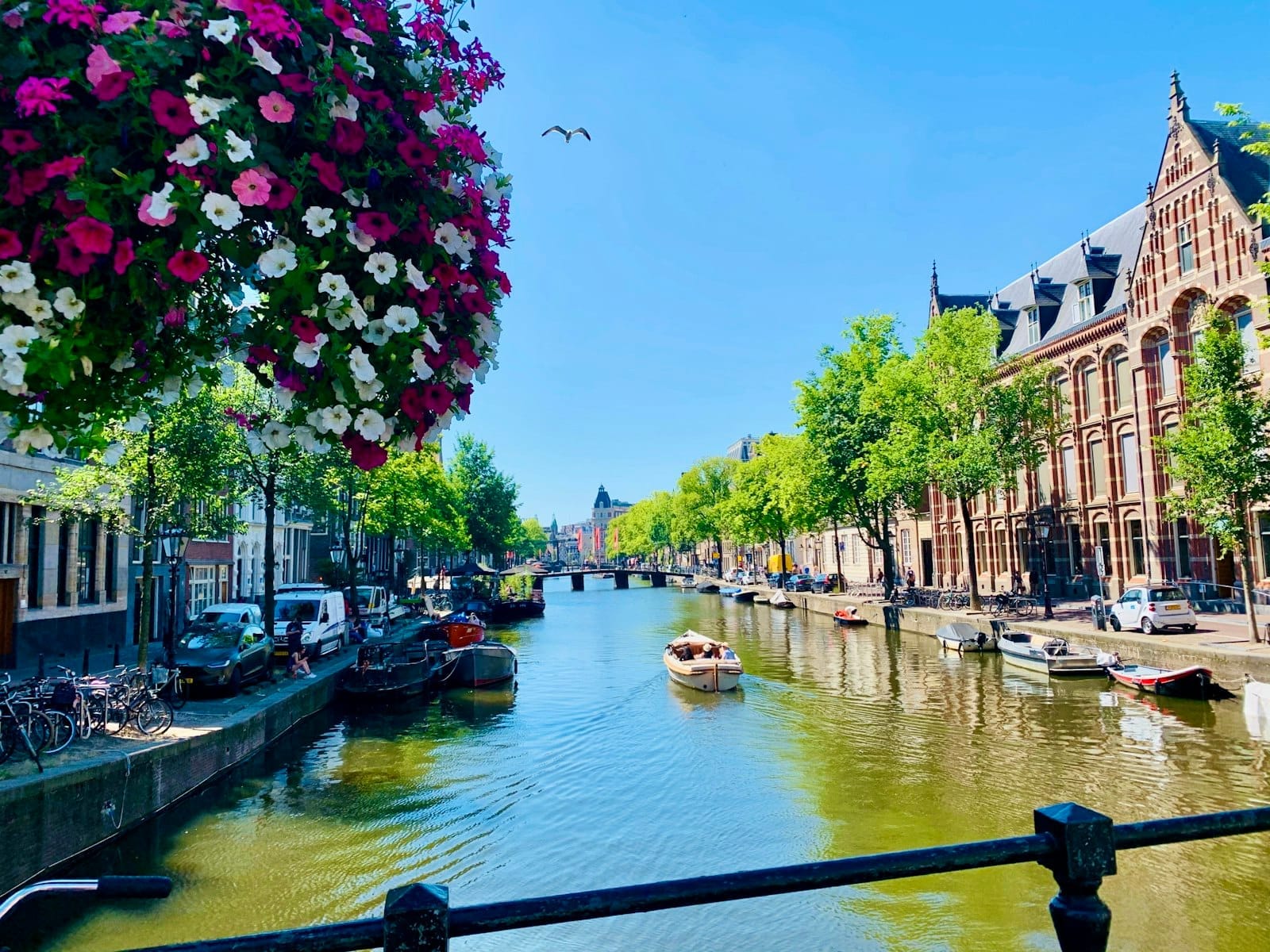 Cảnh kênh đào Amsterdam với thuyền bè, các tòa nhà lịch sử, cây cối và một giỏ hoa treo ở phía trước vào một ngày nắng đẹp.