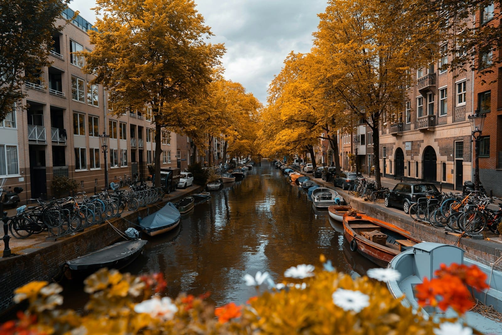 Canal de Ámsterdam flanqueado de árboles amarillos de otoño, barcos y bicicletas a ambos lados. Flores en primer plano, el agua refleja edificios y cielo.