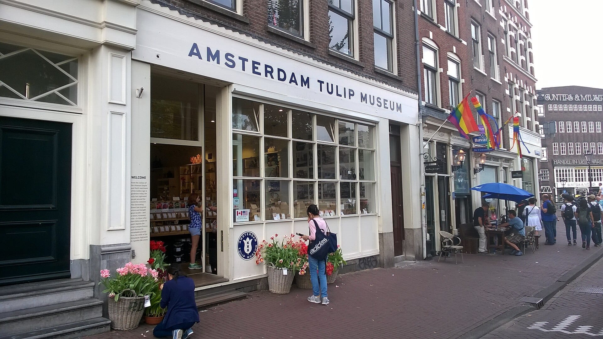 Entrada al Amsterdam Tulip Museum con amplios ventanales, cestas de tulipanes y personas explorando el museo y la calle cercana.