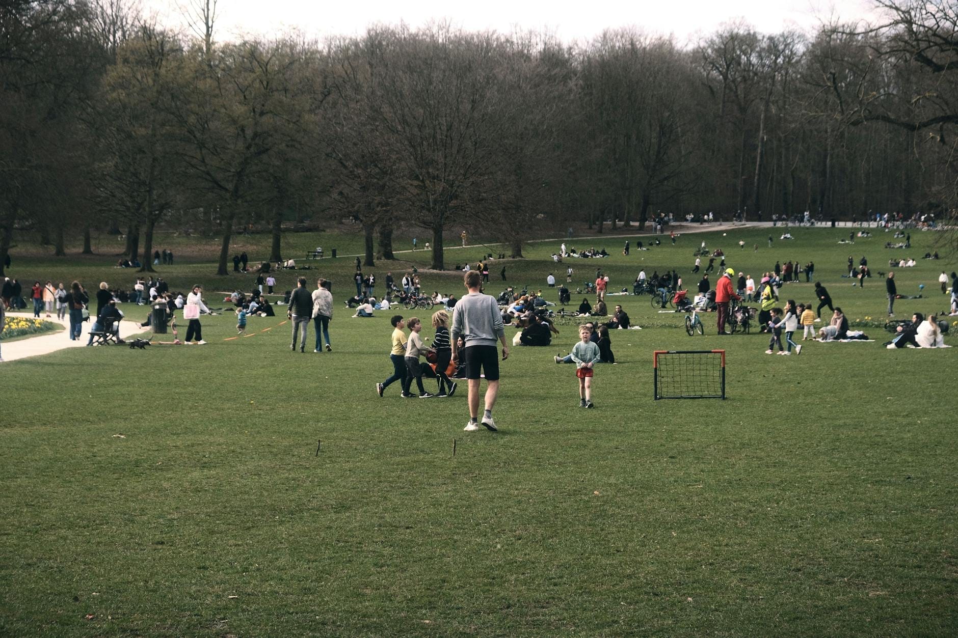 Gran área de parque con césped en Ámsterdam con muchas familias y niños relajándose, jugando y disfrutando de actividades al aire libre en un día nublado.