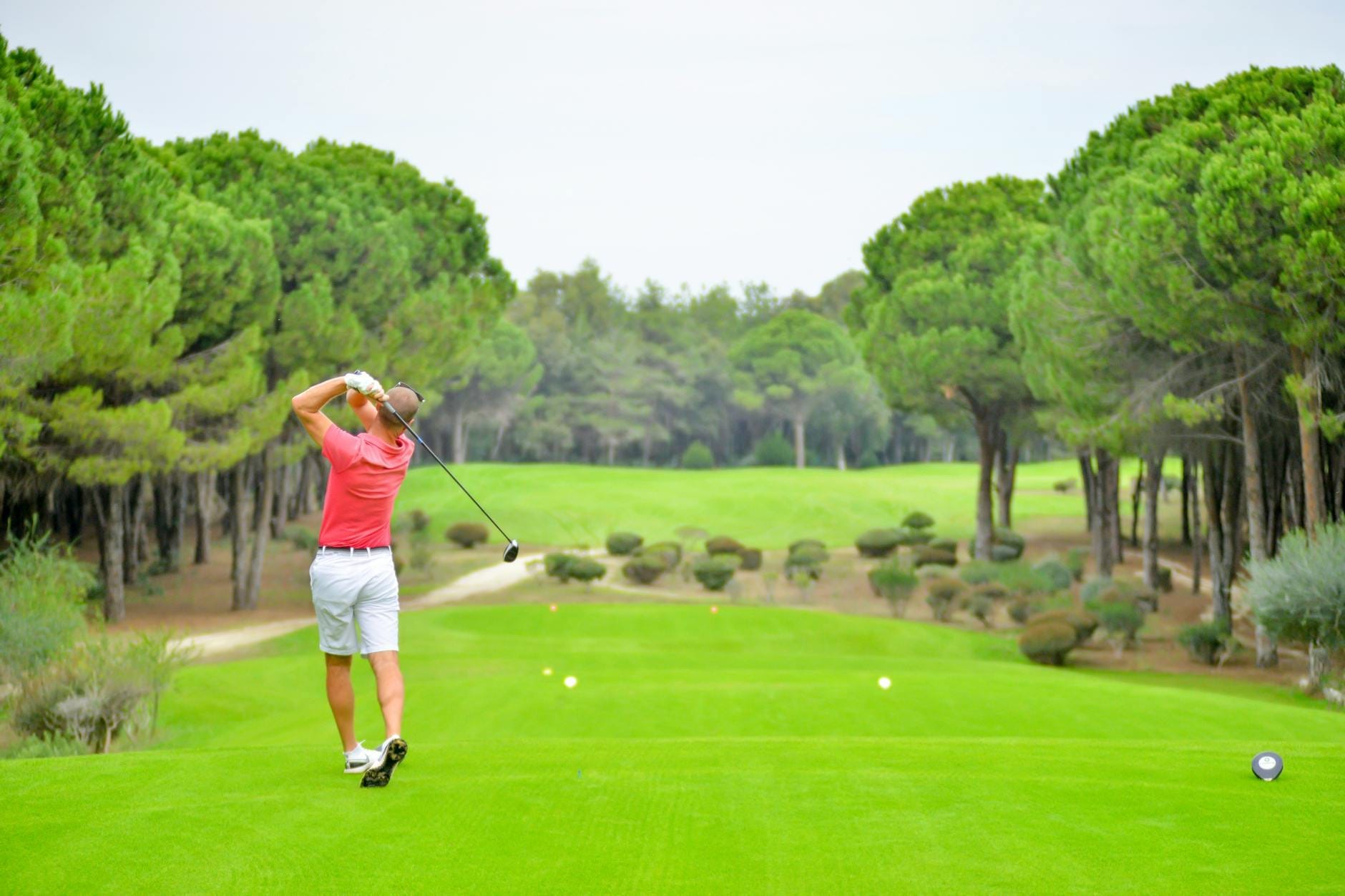 Golfista de camiseta vermelha executando uma tacada em um fairway verde e exuberante cercado por pinheiros mediterrâneos, capturando a beleza cênica de um campo de golfe em Antalya.
