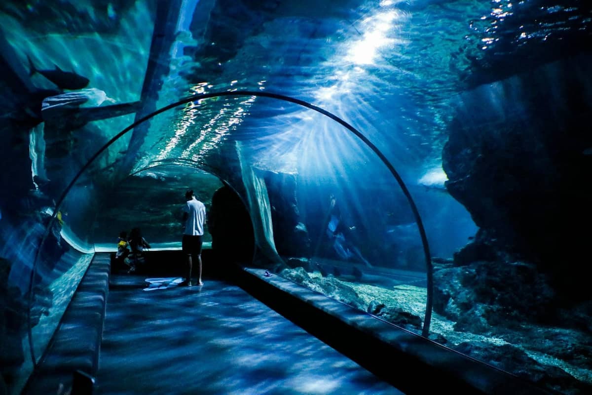 People walking in an underwater tunnel at a large public aquarium, with blue lighting and rays of sunlight above.