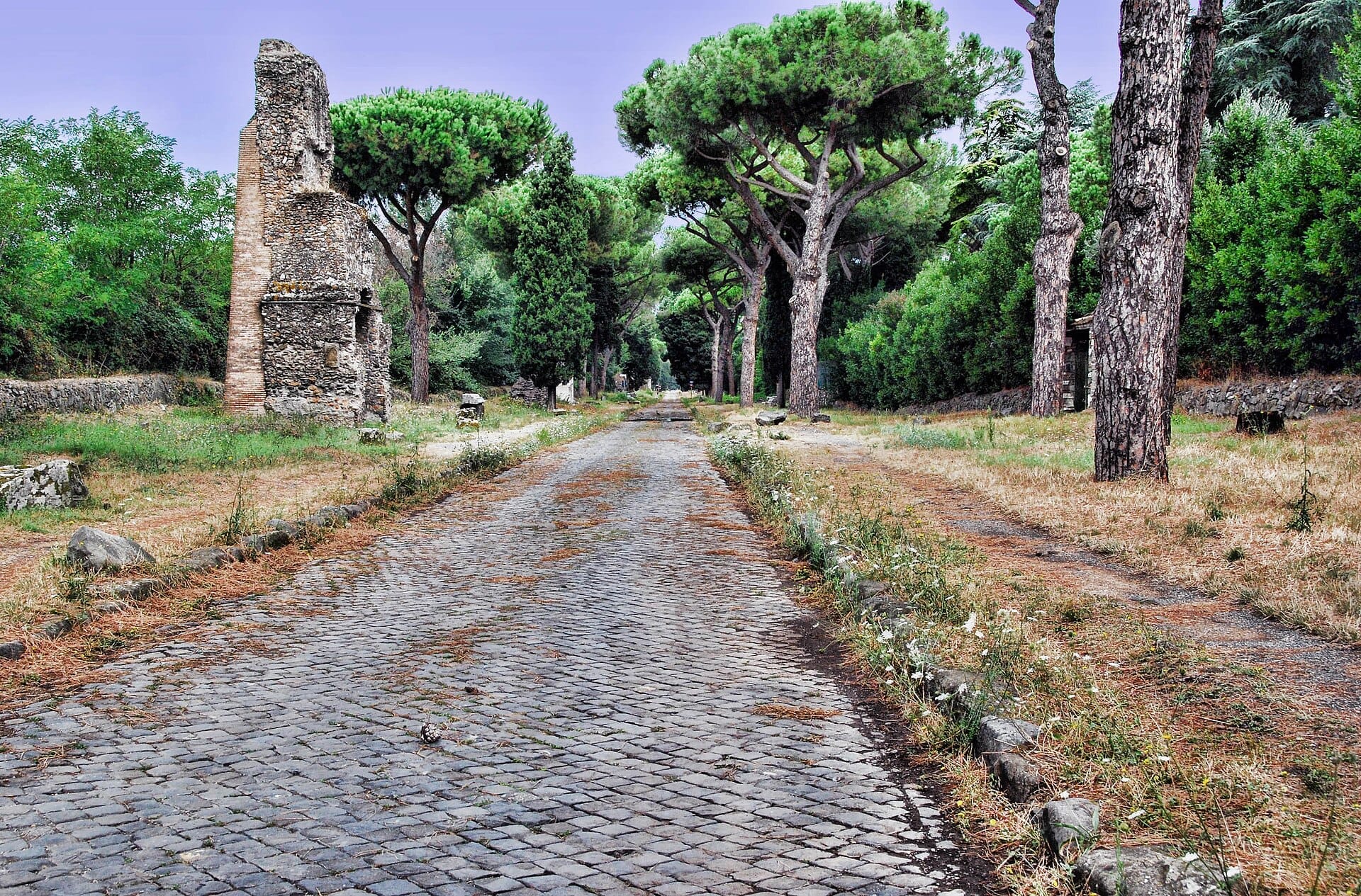 Cobblestone path of the Via Appia Antica in Rome, bordered by ancient ruins, pine trees, and lush greenery under a clear sky.