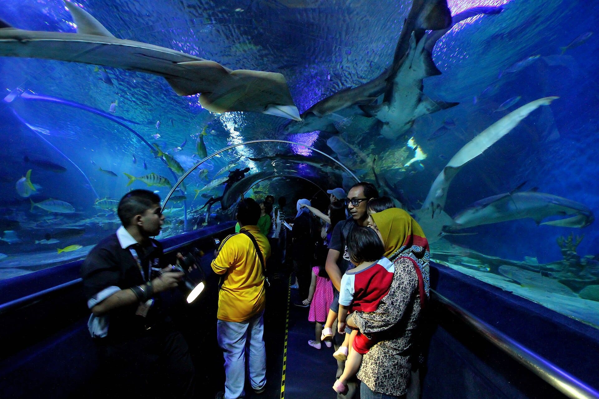 Visitors walking through the Aquaria KLCC underwater tunnel, surrounded by sharks, rays, and vibrant marine life in a blue-lit aquarium exhibit.