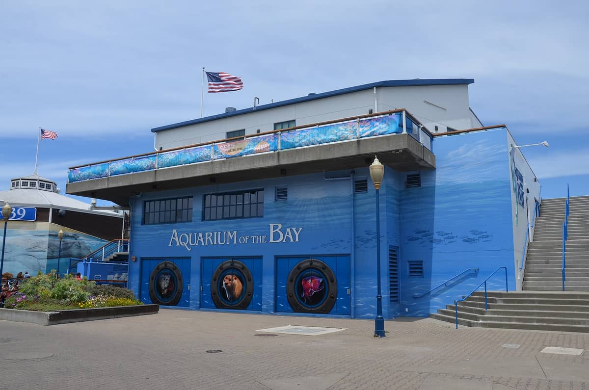 Exterior del Aquarium of the Bay en el Muelle 39 de San Francisco, con el nombre del acuario visible en un edificio azul, un mural y banderas estadounidenses.