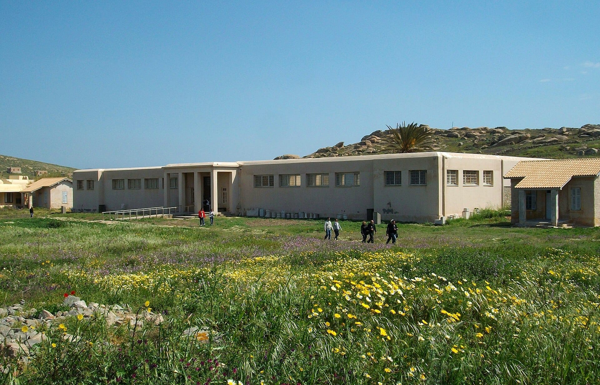 El edificio del Museo Arqueológico de Delos se encuentra en un campo verde salpicado de flores silvestres bajo un cielo azul despejado.