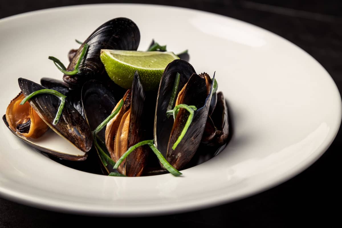 Eine Schüssel gekochter Muscheln, garniert mit grünen Kräutern und einem Limettenspalte, serviert in einem weißen Teller.