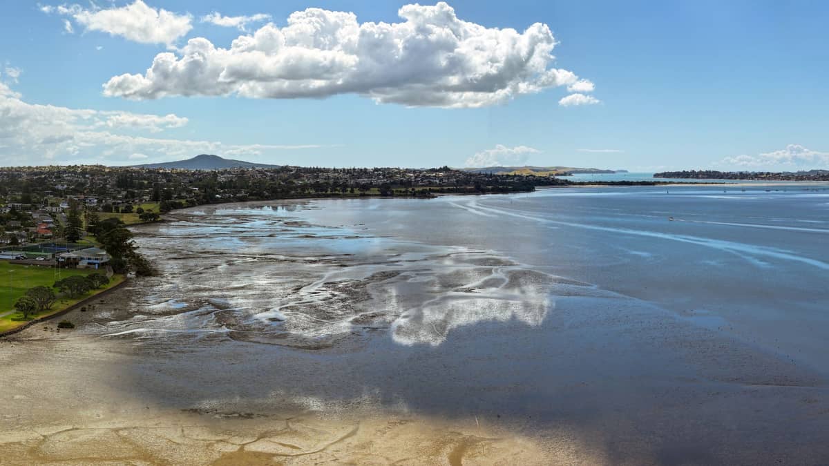 Ampia vista panoramica che mostra la costa di Auckland e un lontano cono vulcanico, probabilmente Rangitoto Island, sotto un cielo blu con nuvole sparse.