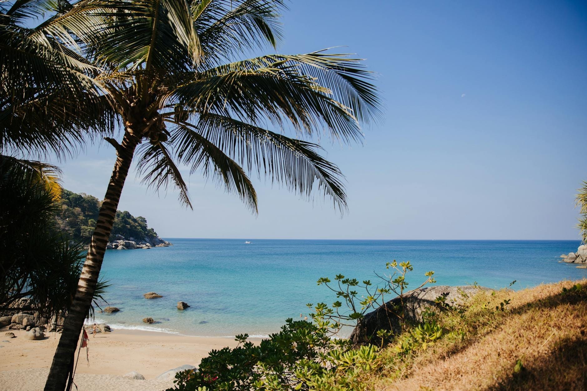 A quiet tropical cove with clear turquoise water, golden sand, scattered rocks, and a leaning palm tree under a sunny blue sky, conveying a peaceful, hidden beach vibe.