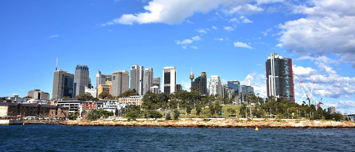 Weiter Blick auf das Sandstein-Ufer des Barangaroo Reserve mit heimischen Bäumen und offenen Rasenflächen, dahinter die Skyline der Sydneyer Innenstadt unter strahlend blauem Himmel.