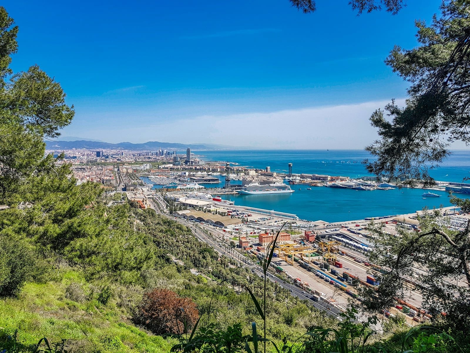 Panoramic view of Barcelona’s port and cityscape framed by trees, with blue sky and Mediterranean Sea, inviting exploration beyond the city.