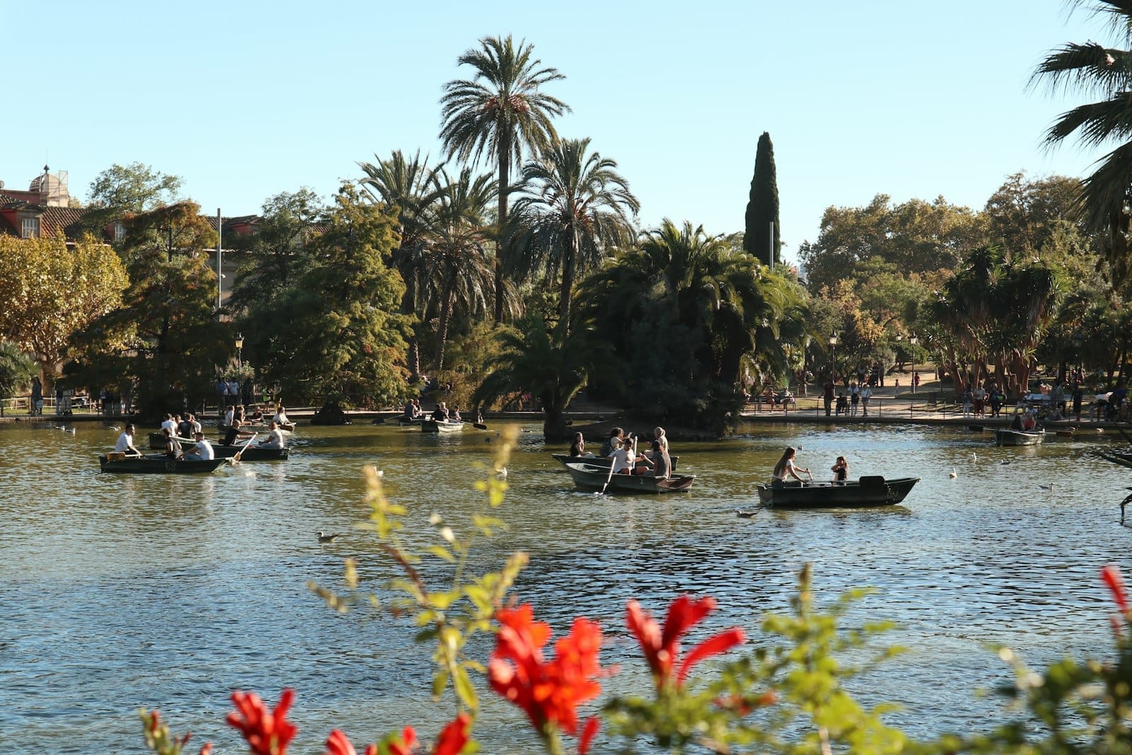 People in rowboats enjoying a sunny day on a lake surrounded by lush greenery and palm trees in Parc de la Ciutadella, Barcelona.