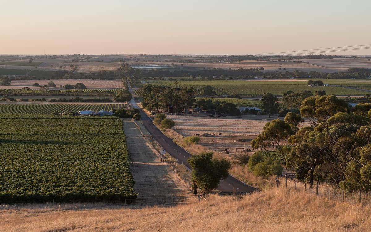 วิวพาโนรามาของ Barossa Valley แสดงให้เห็นไร่องุ่น ถนนชนบท ทุ่งหญ้าสีเขียว และบ้านเรือนที่กระจายอยู่ท่ามกลางแสงยามเย็นอันอ่อนโยน