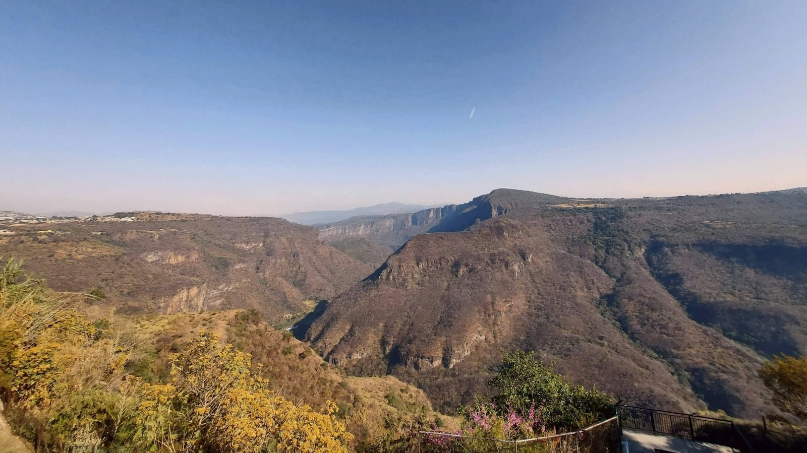 Vista ampia delle scogliere del canyon Barranca de Huentitán sotto un cielo azzurro limpido, con vegetazione secca e un parapetto in primo piano.