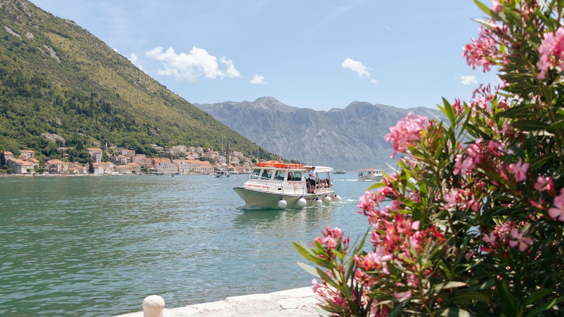 Barco turístico navegando na Baía de Kotor com montanhas, vila na encosta e flores cor-de-rosa em primeiro plano sob um céu azul ensolarado.