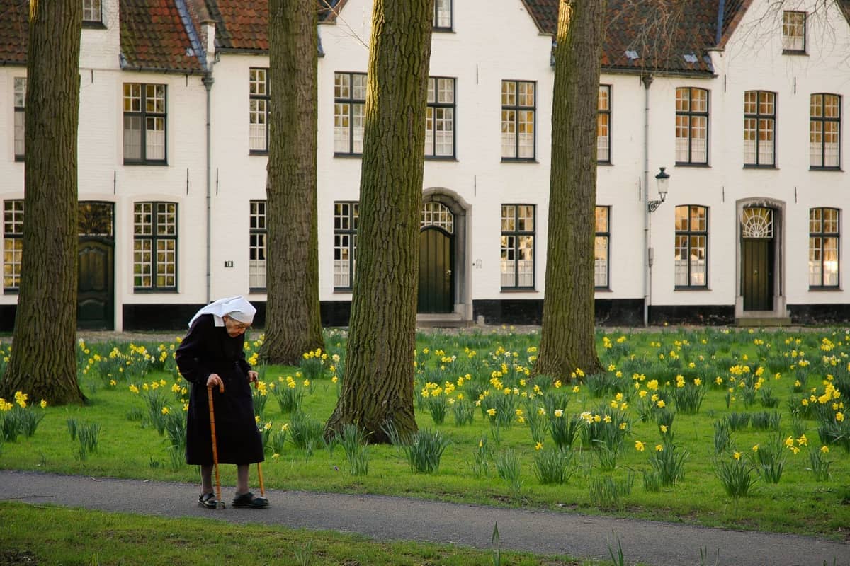 Whitewashed buildings of the Princely Beguinage Ten Wijngaerde with blooming daffodils, tall trees, and a nun walking with a cane.