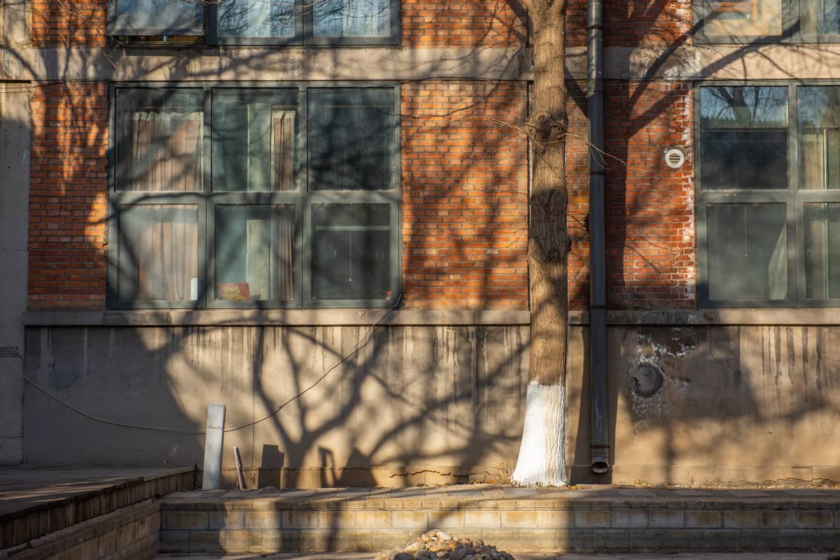 Industriegebäude aus Backstein mit großen Fenstern und Baumschatten, typische Architektur des Kunstbezirks 798 in Beijing.