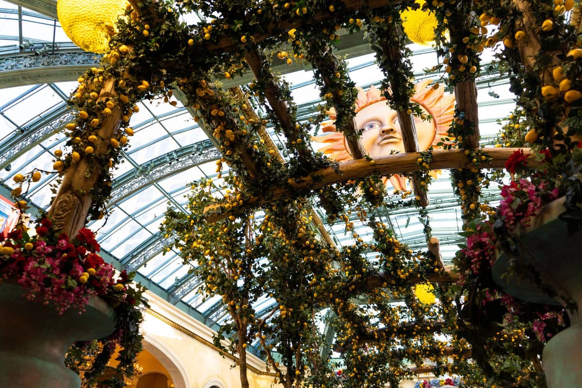 Wnętrze Bellagio Conservatory & Botanical Garden ze szklanym dachem, bujną zielenią, kwiatowymi dekoracjami i dużą rzeźbą słońca w tle.