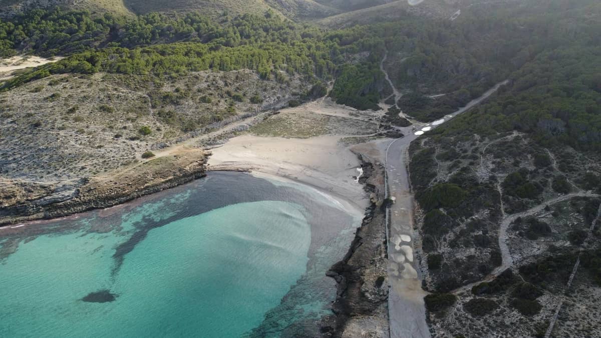Luftaufnahme eines unberührten, abgelegenen Strandes auf Mallorca mit türkisfarbenem Wasser, Sandstrand sowie umliegenden grünen Hügeln und Wald.