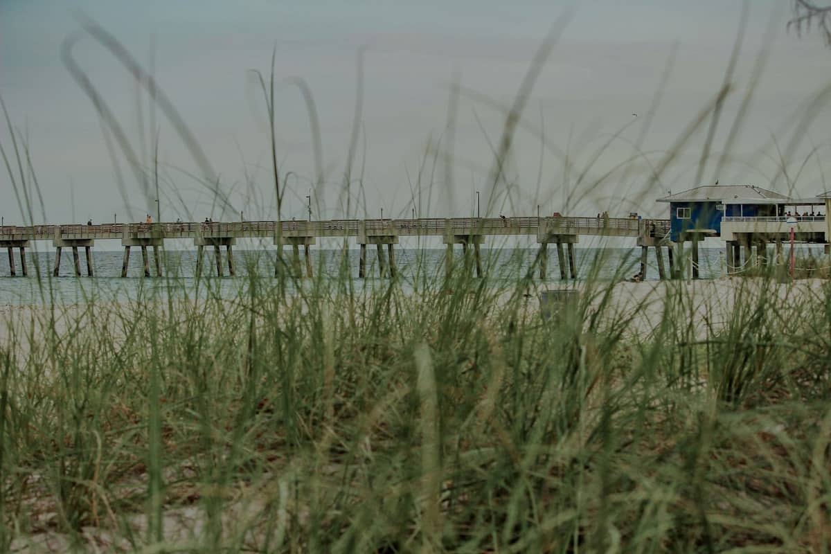 View of a pier and lifeguard hut seen through dune grass at a quiet beach, suggesting a hidden, natural Miami shoreline.