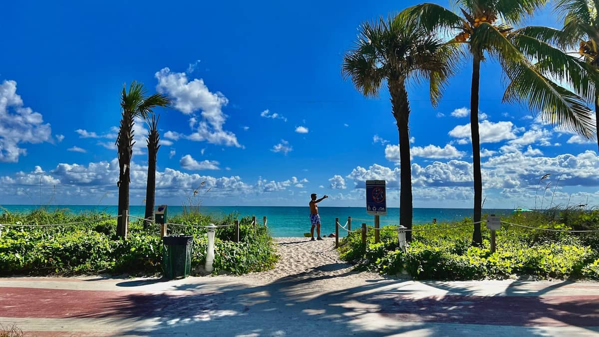 View through palm trees to a sandy beach and calm turquoise water with a person standing at the entrance, under a bright blue sky.