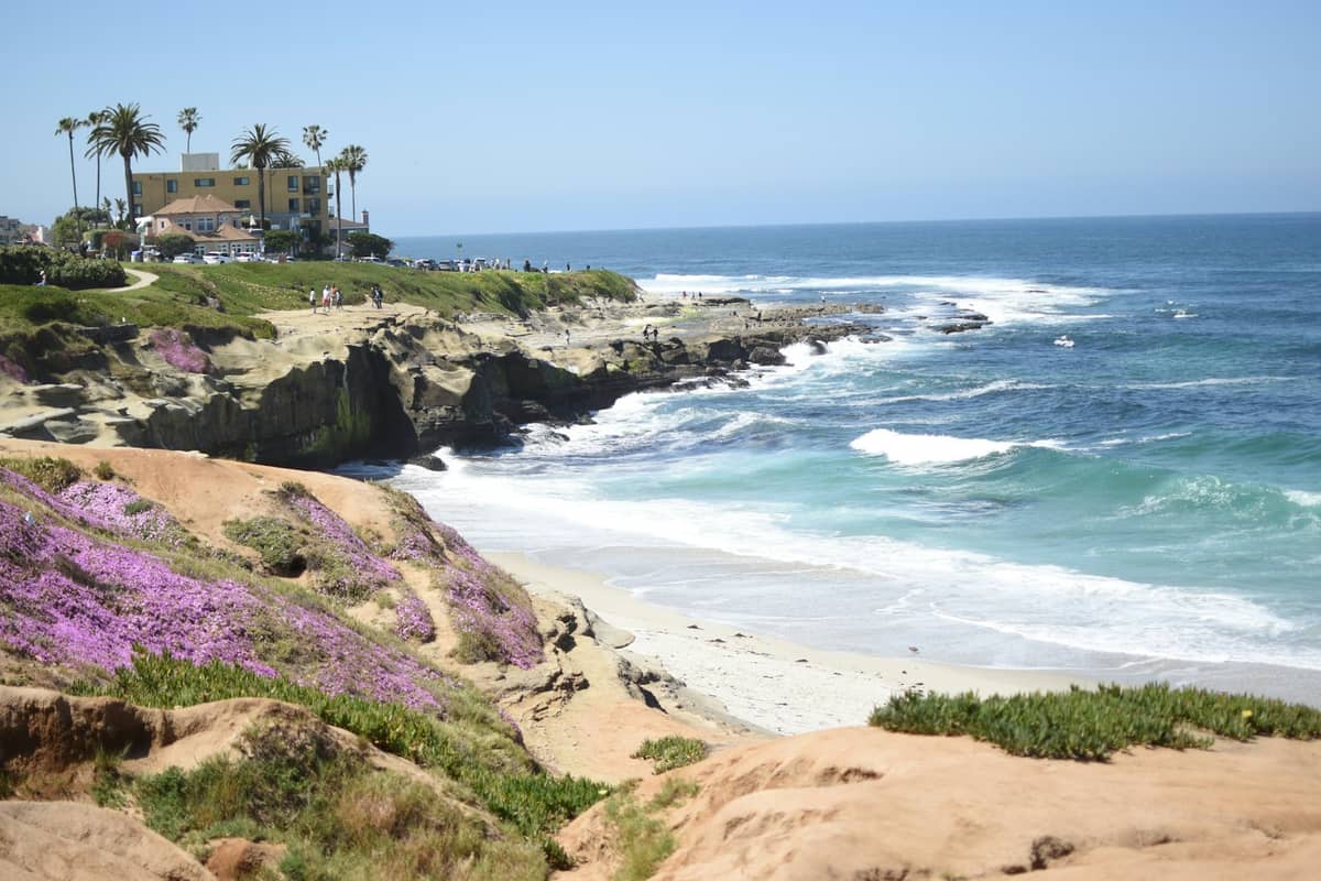 วิวชายฝั่ง La Jolla พร้อมหน้าผาหินทราย ดอกไม้สีสดใส และคลื่นสีเทอร์ควอยซ์ใต้ท้องฟ้าสีฟ้าใส