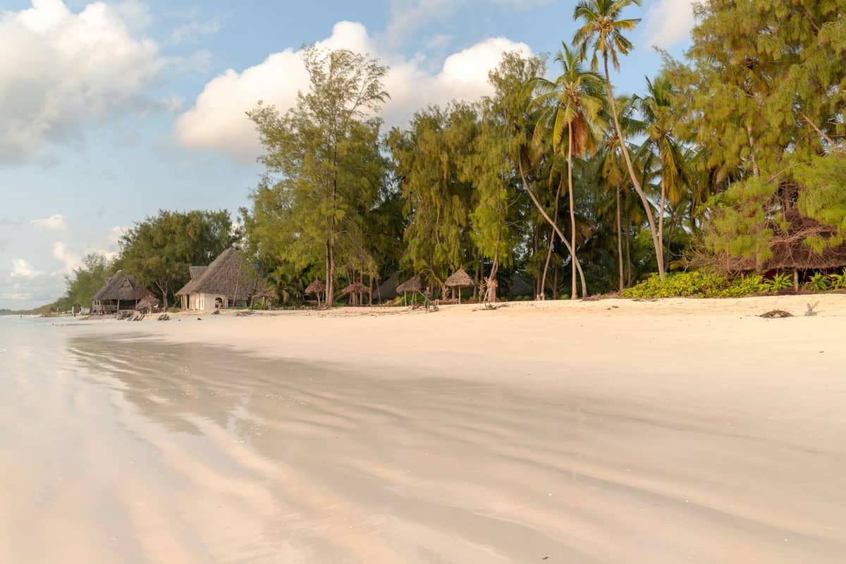 Szeroka, spokojna plaża na Zanzibarze z drobnym białym piaskiem, palmami i rustykalnymi bungalowami krytymi strzechą na tle błękitnego nieba.