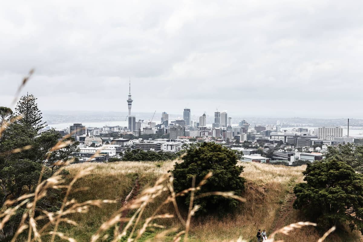 Skyline di Auckland vista dalla cima erbosa di un vulcano, con gli edifici della città e la Sky Tower visibili oltre i pendii e gli alberi.