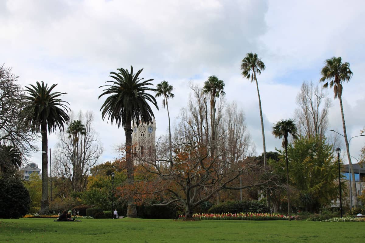 Parco urbano ad Auckland con palme, erba verde, giardini e edifici della città visibili sullo sfondo.